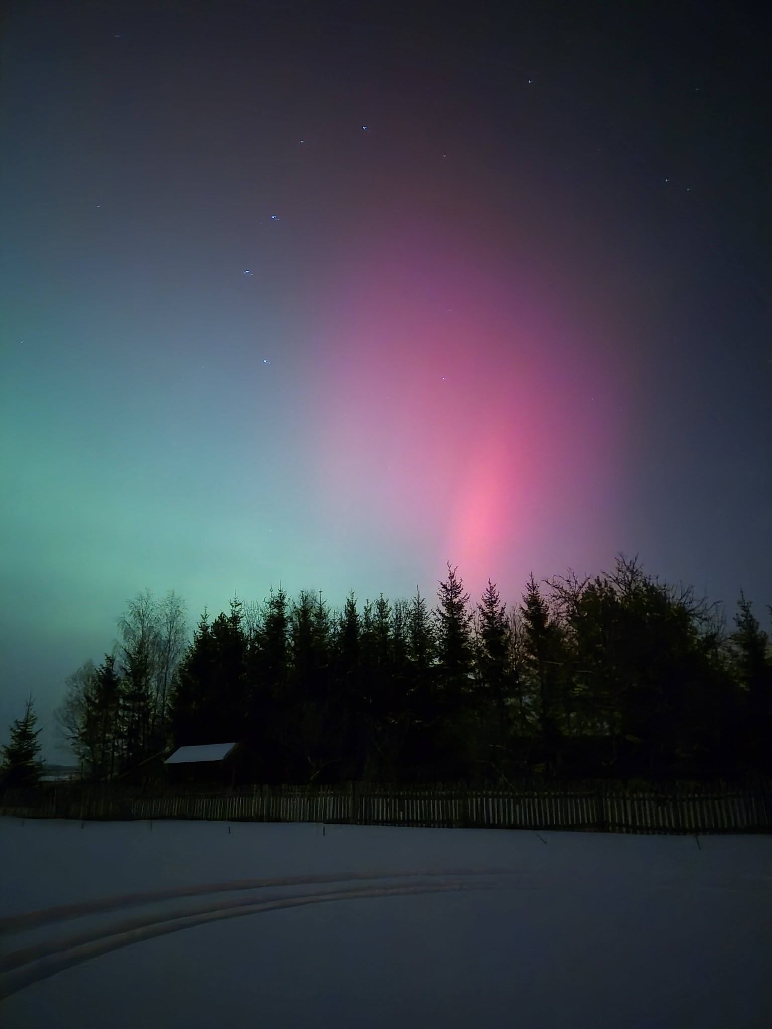 615949936 917439074275916 2708029626118873097 n