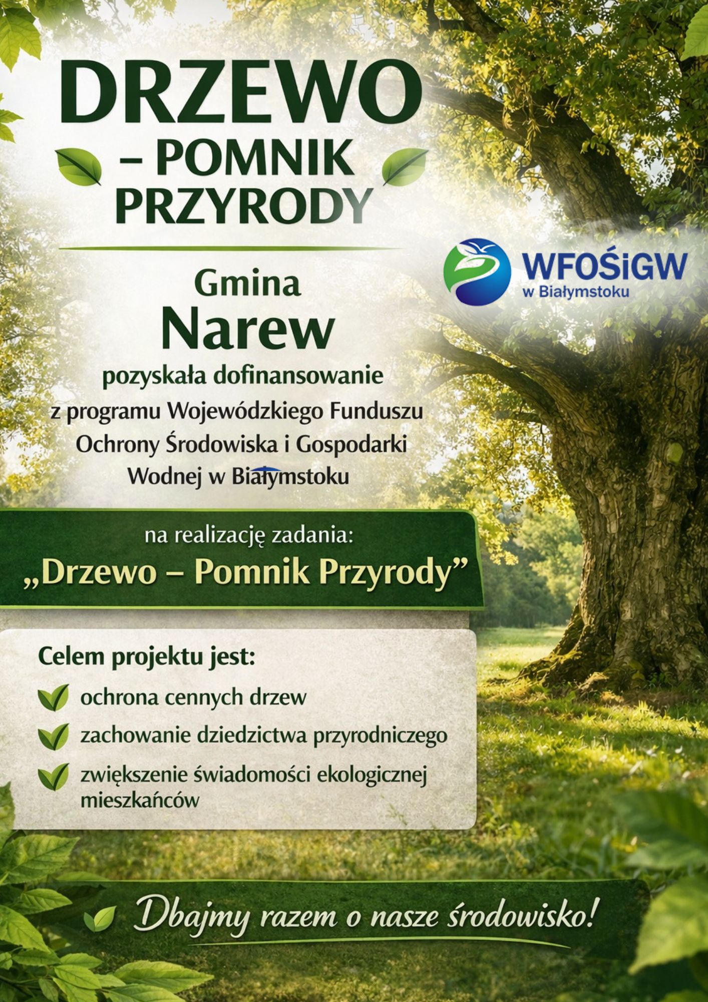 656202422 972400032113153 6820133328629530180 n