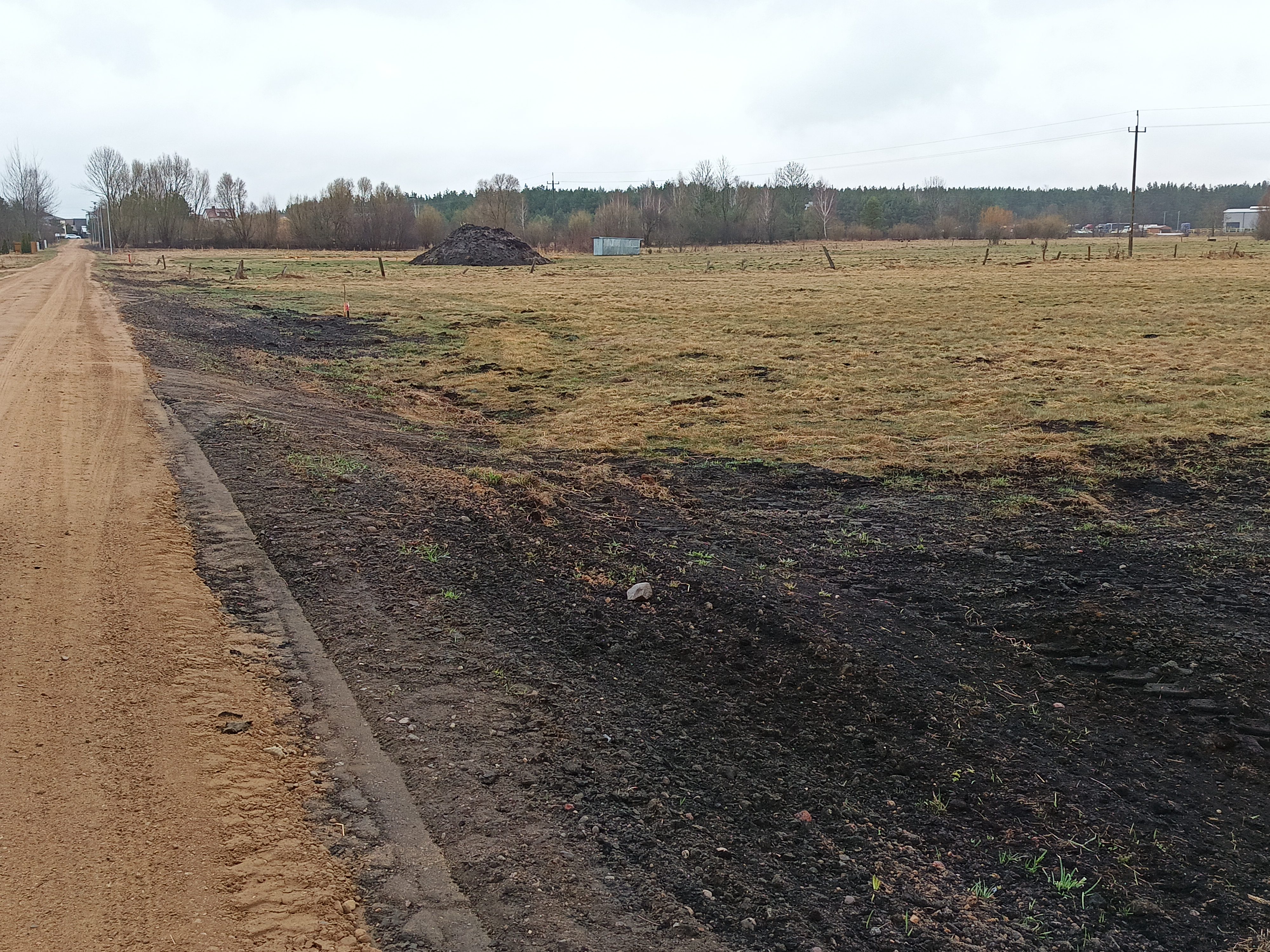 IMG20260326145340 BURST000 COVER