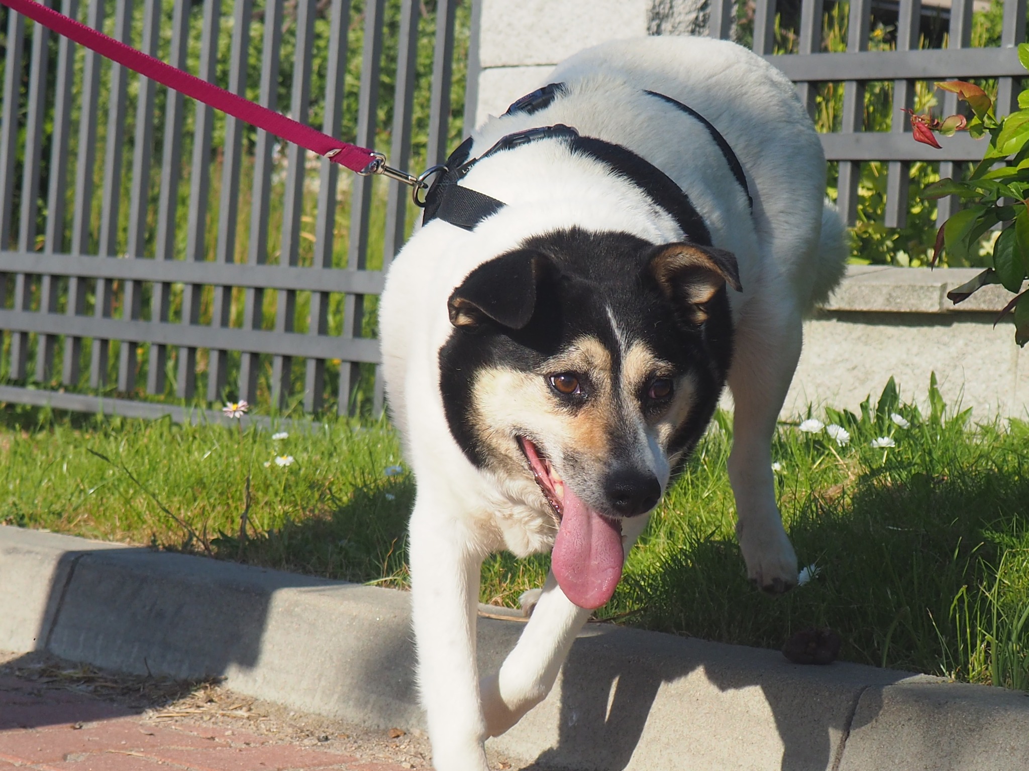 347393423 579269467625839 7718042598573142604 n