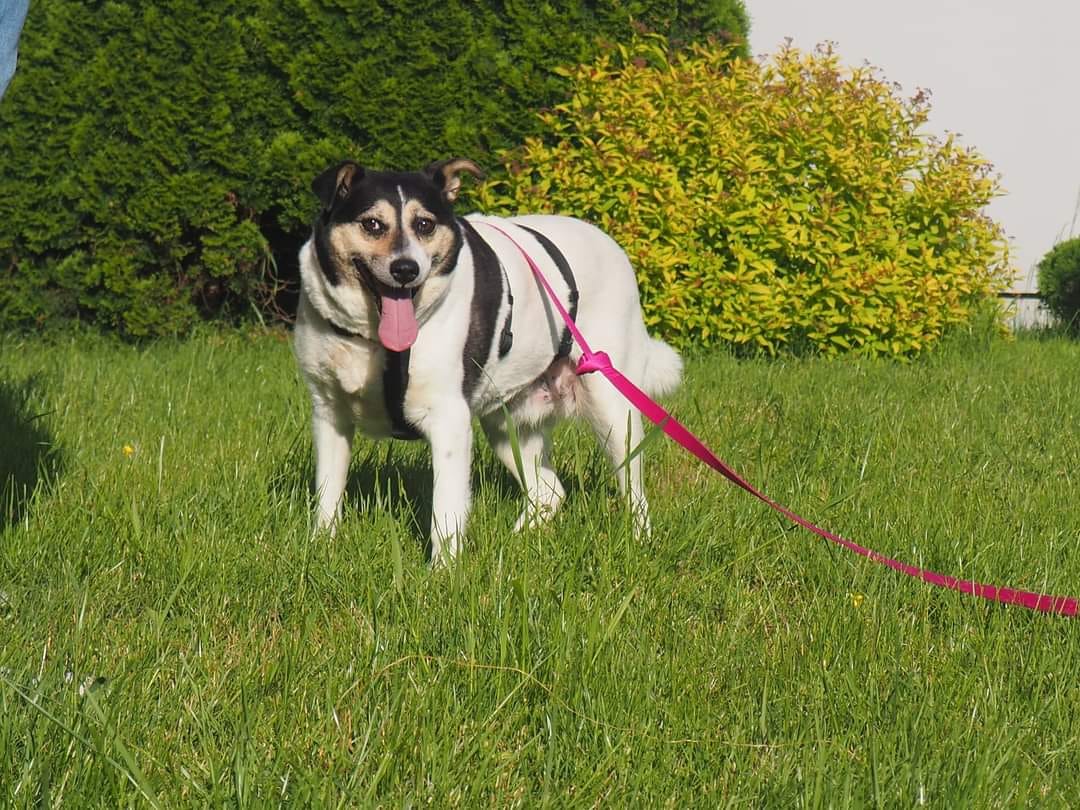 353617825 580102334209219 8496747149548173270 n