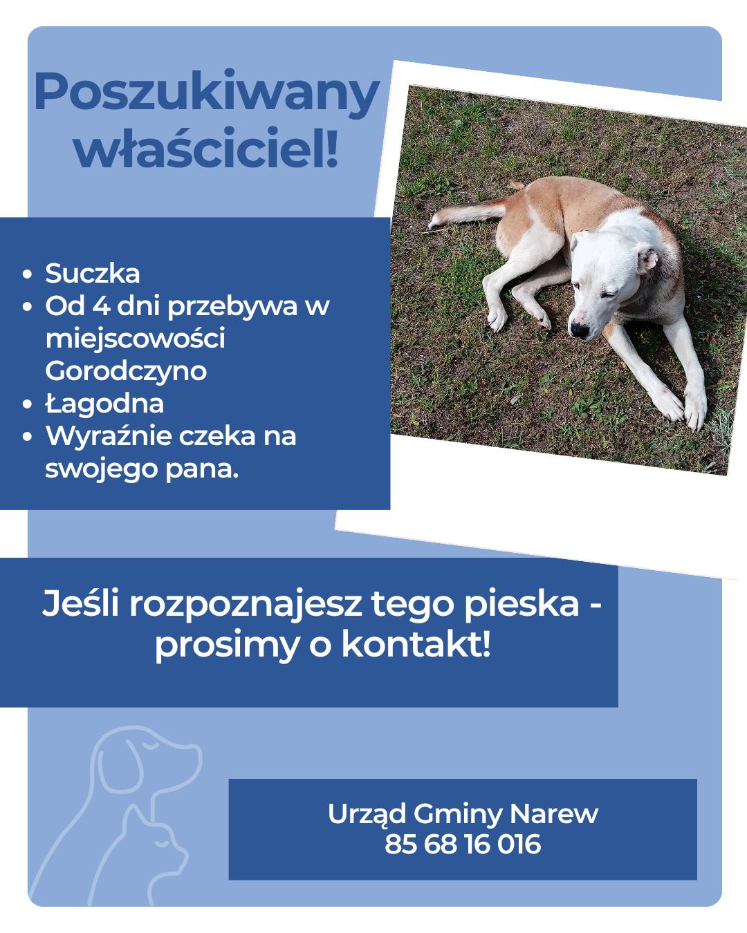 512562333 749178854435273 3837076419129382724 n