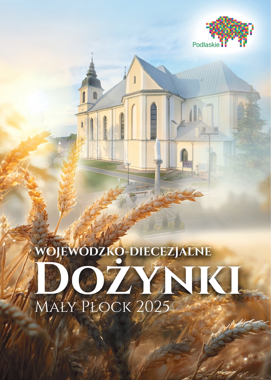 535610459 794856149867543 2182227124158413625 n