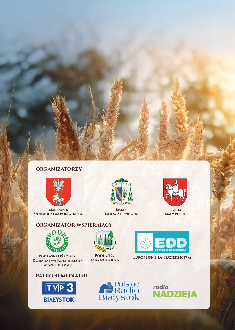 537353865 794856193200872 2046009756840082091 n