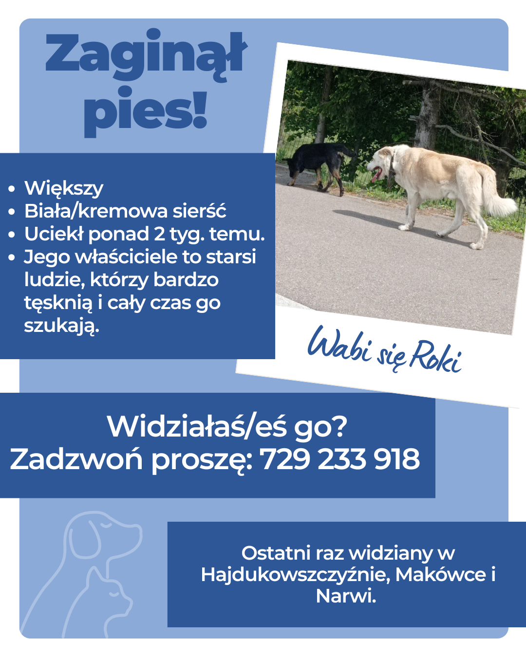 Niebieska Nowoczesna Zaginął Pies Ulotka 2