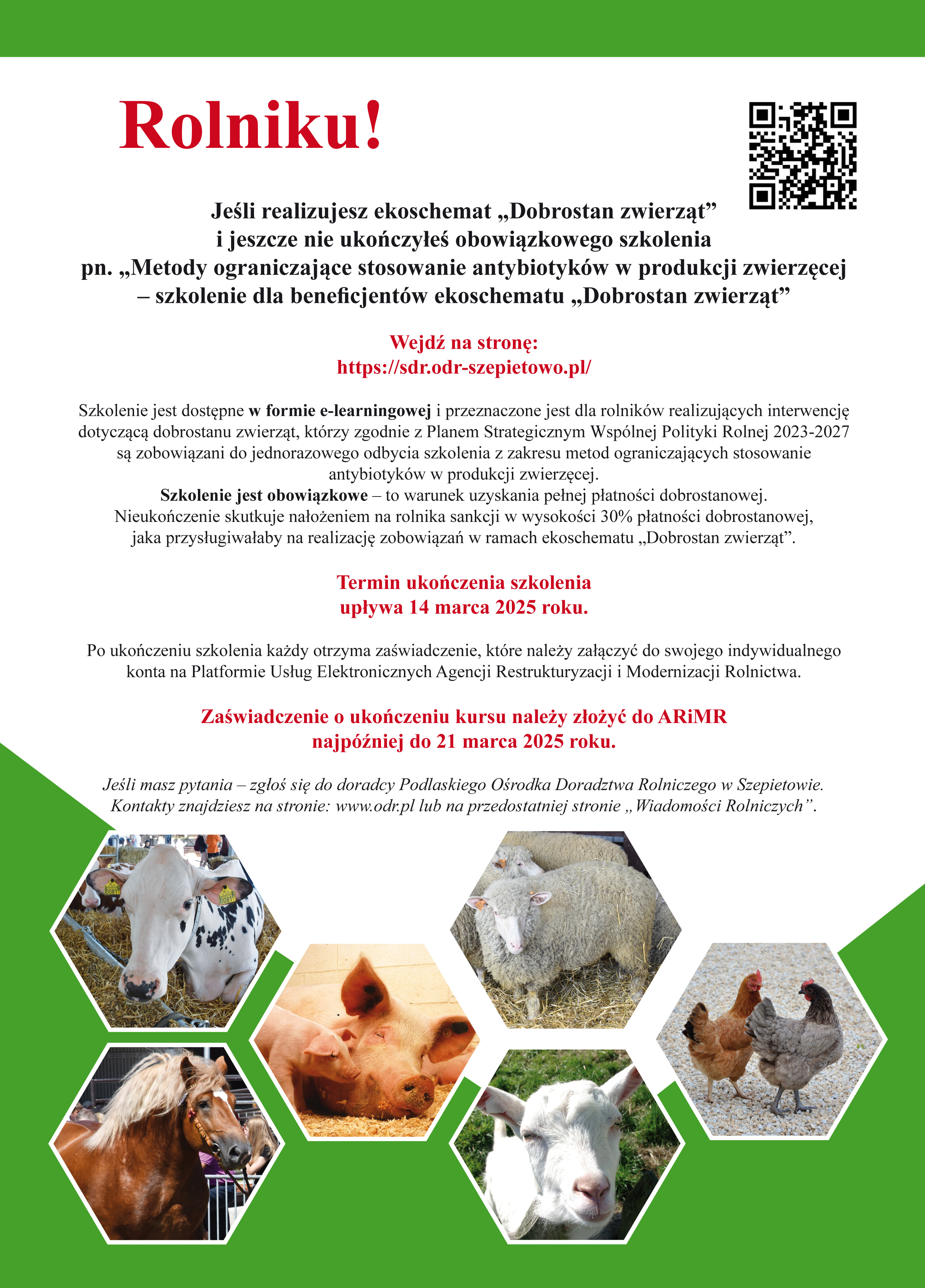 Szkolenie metody ograniczające stosowanie antybiotyków w produkcji zwierzęcej