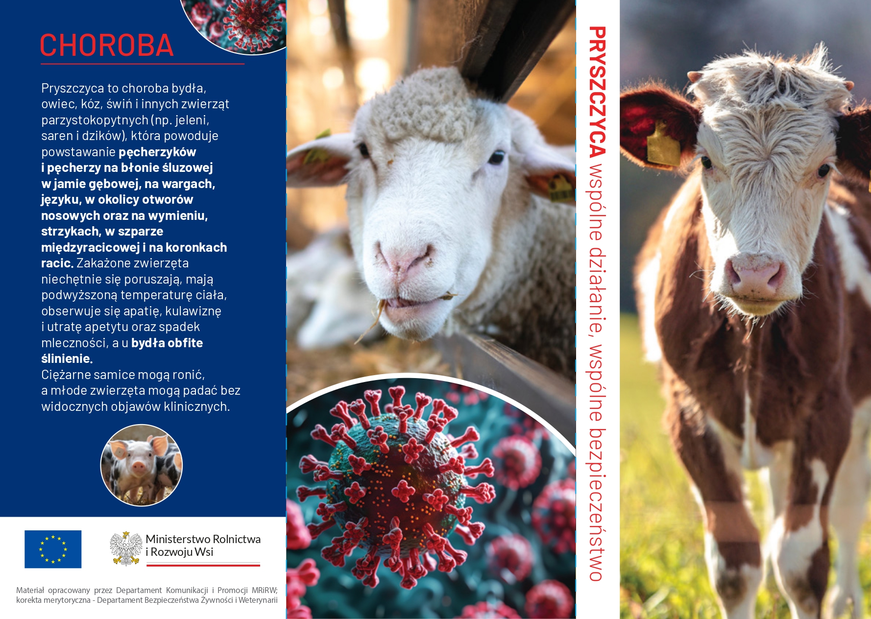 Ulotka pryszczyca page 0001