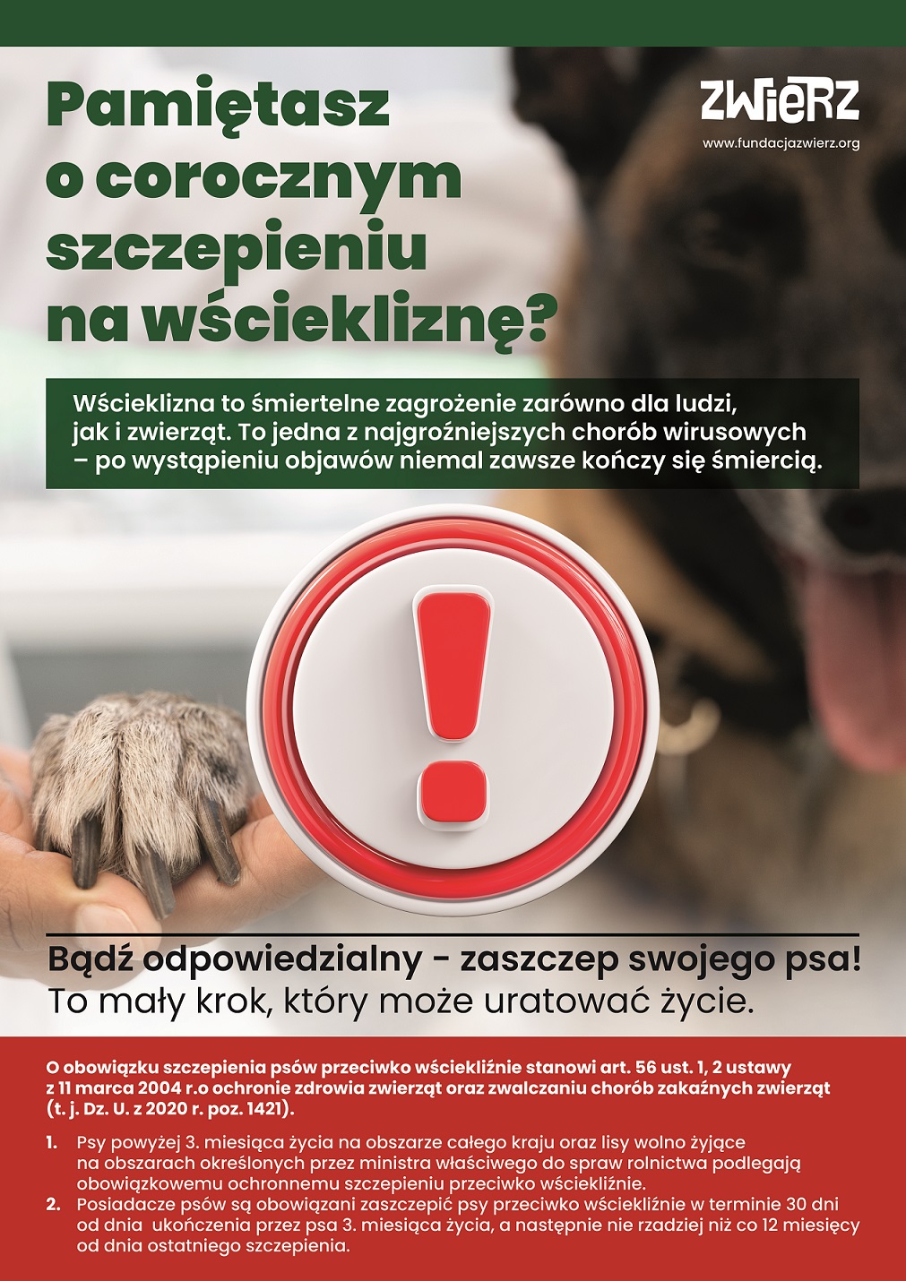 ZWIERZ szczepienia plakat A3 DRUK