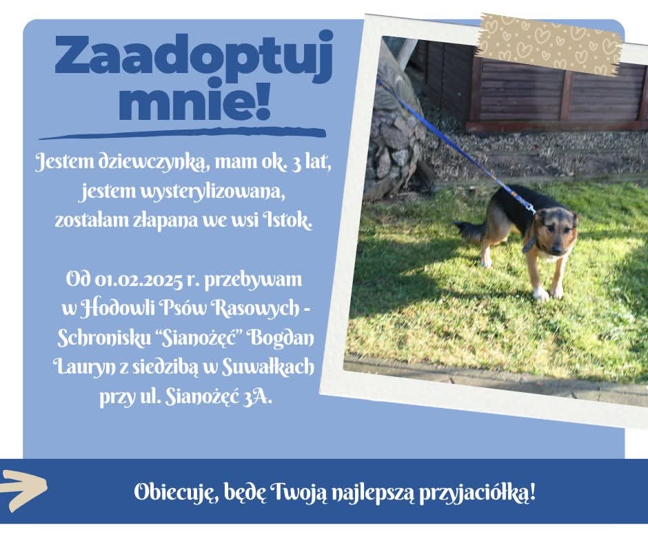 fb img 1744384277919