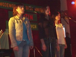 Występy zespołów NOK