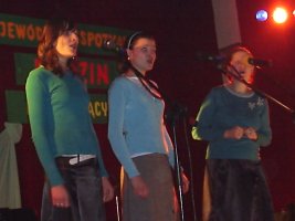 Występy zespołów NOK