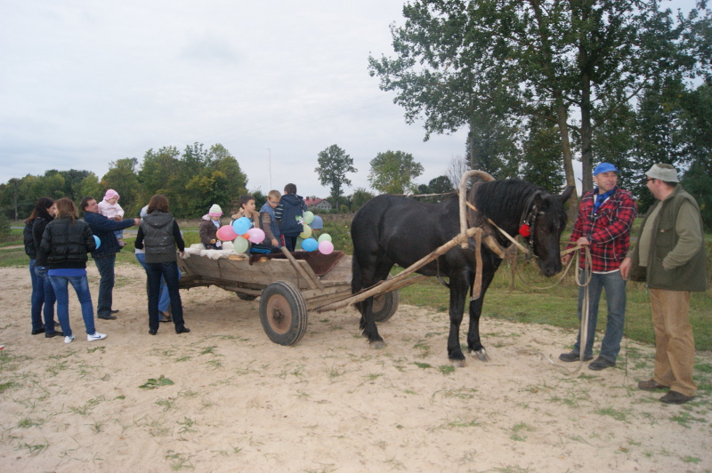 Święto ziemniaka w Trześciance