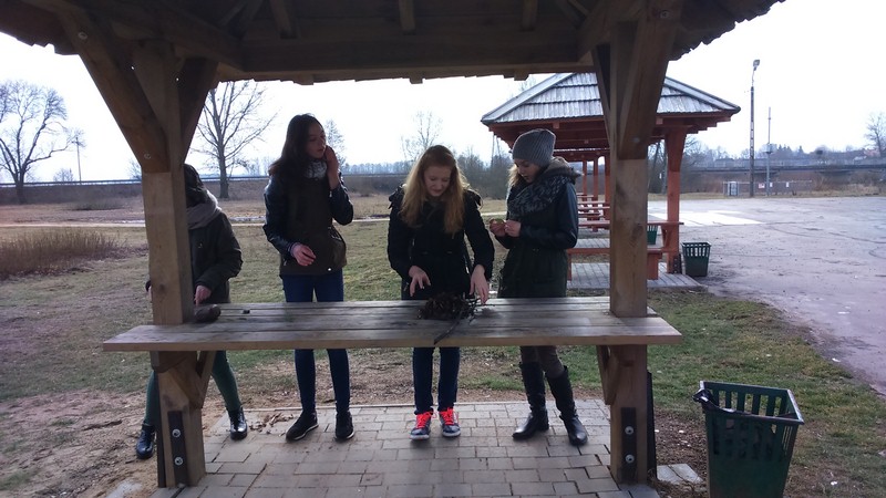 Warsztaty edukacyjne w gimnazjum