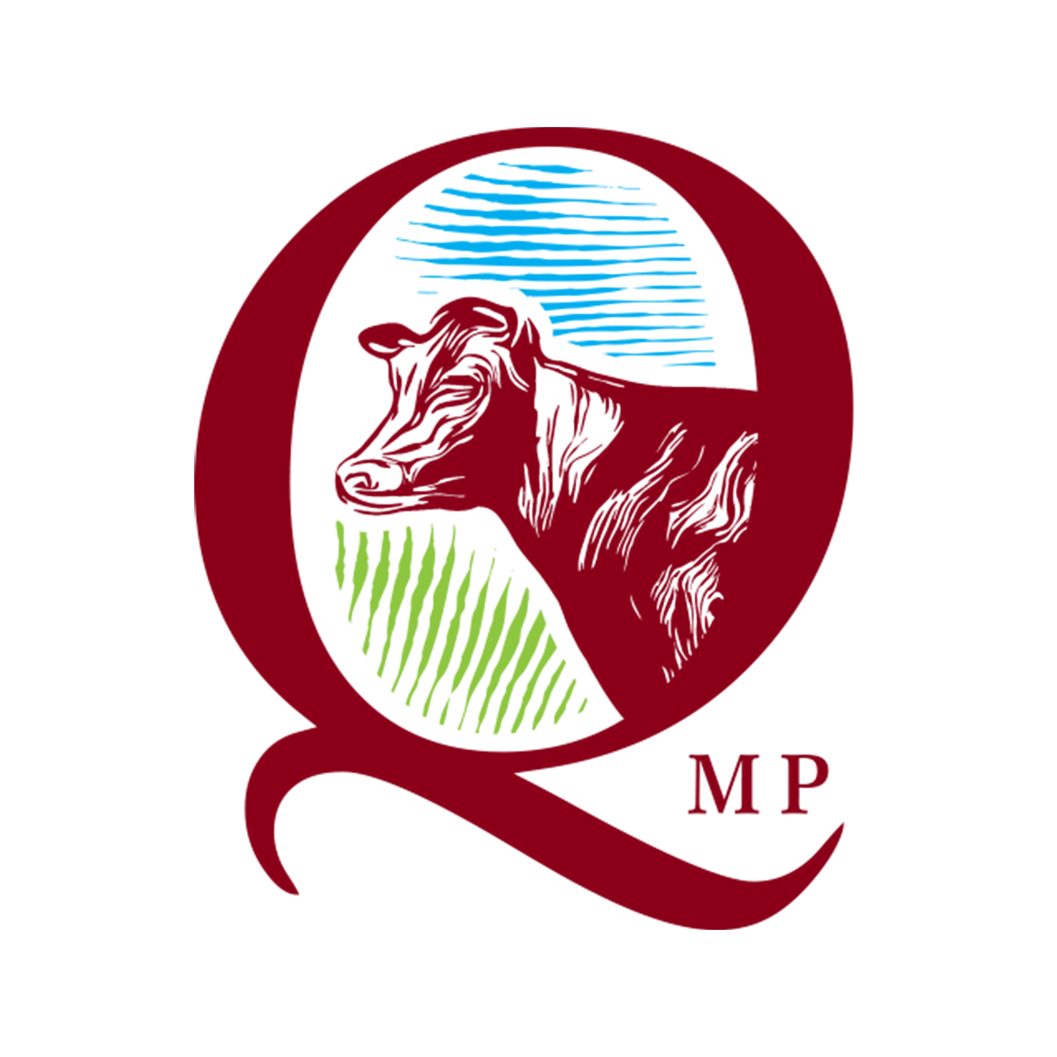 logo qmp nowe2