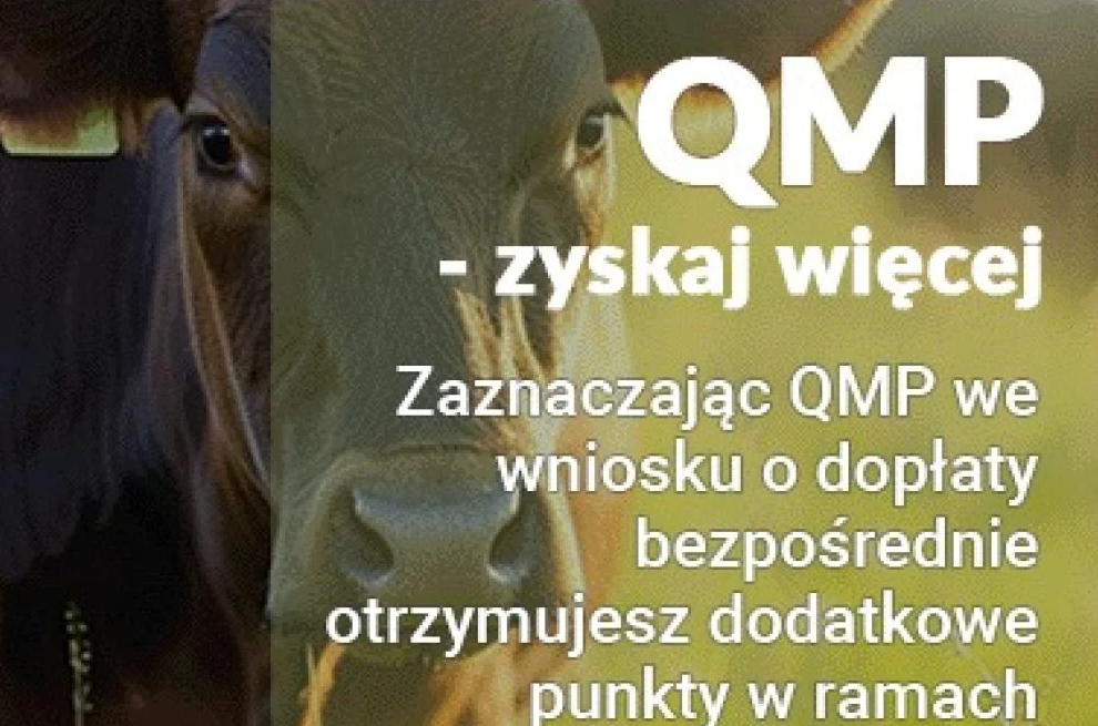 qmp